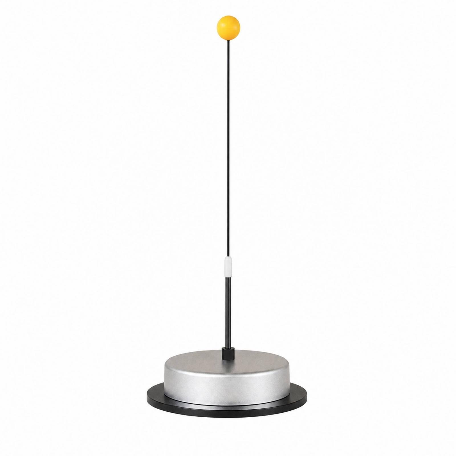 Table Tennis Set with Stainles - Table Tennis Height 评论和价格
